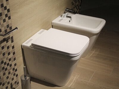 Star West Plumbing Modern Toilet and Bidet